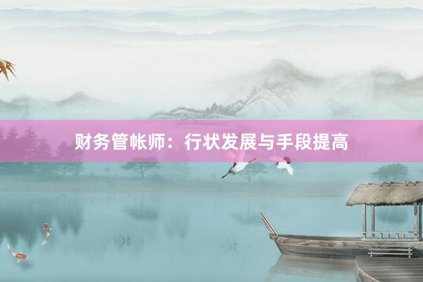 财务管帐师：行状发展与手段提高
